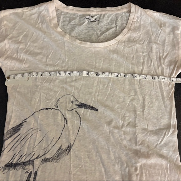 J. Crew Collector Tee - Picture 5 of 5